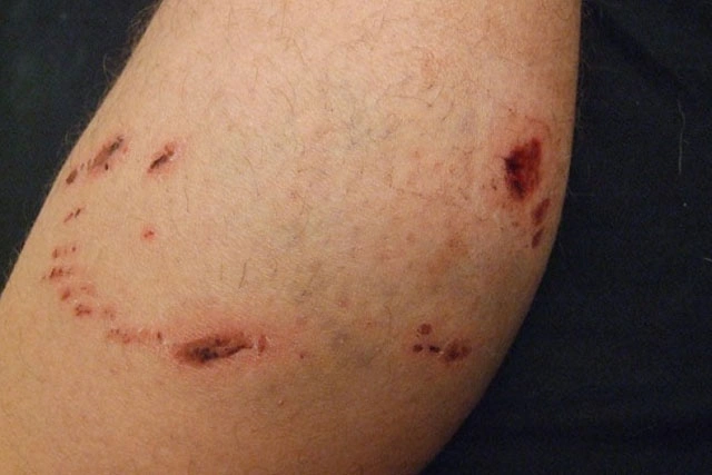 Grupo Medico Quirúrgico CANADI